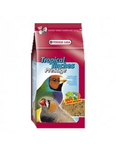 Semillas para Exóticos Prestige 