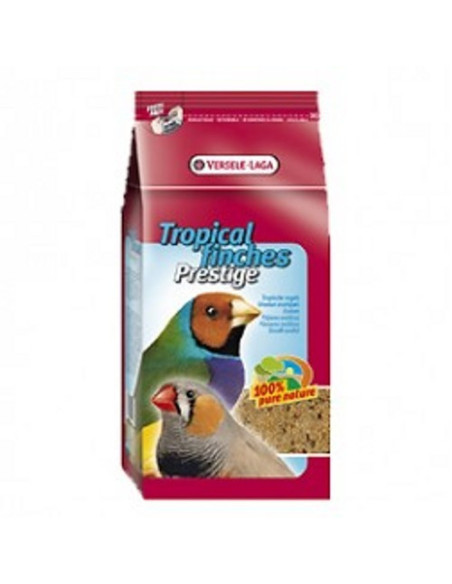 Semillas para Exóticos Prestige 