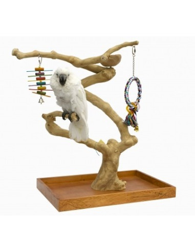 Parque Juego Loros Mini Medium Arbol Java