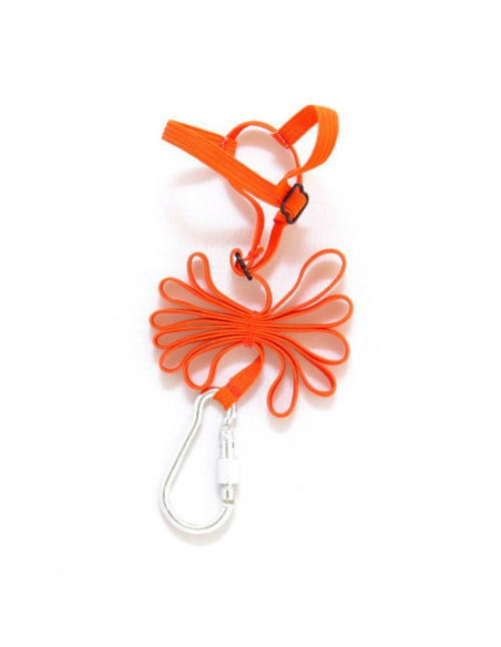 Arnes para Agapornis, forpus y periquitos