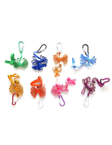 Arnes para Agapornis, forpus y periquitos