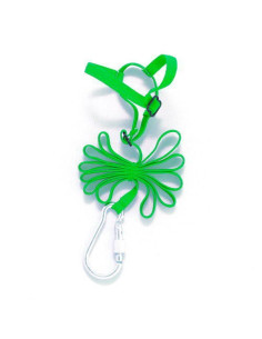 Arnes para Agapornis, forpus y periquitos 2