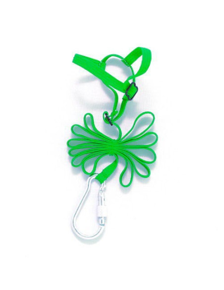 Arnes para Agapornis, forpus y periquitos