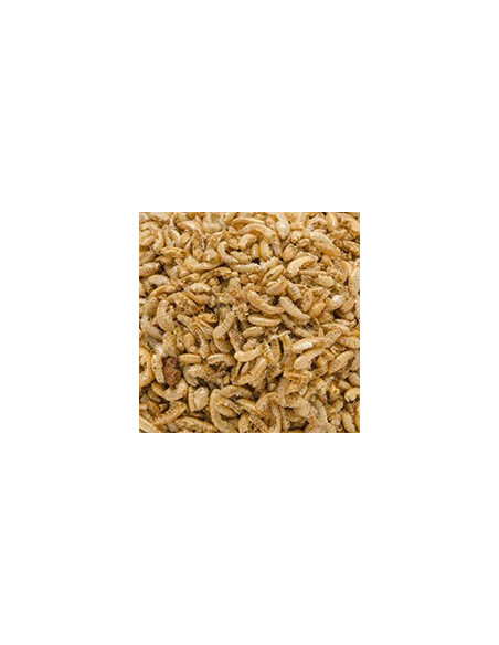 Sera raffy I Alimento para tortugas y anfibios