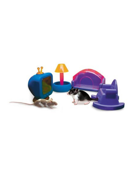Set Salón para hamster, gerbos y ratones