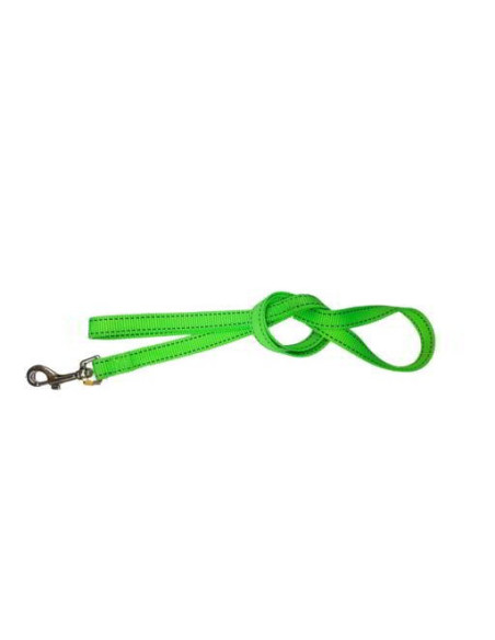 Correa Nylon Neon Verde para perros