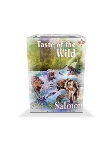 Tarrina Taste of the Wild Salmón