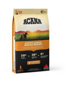 Acana Puppy Large Breed