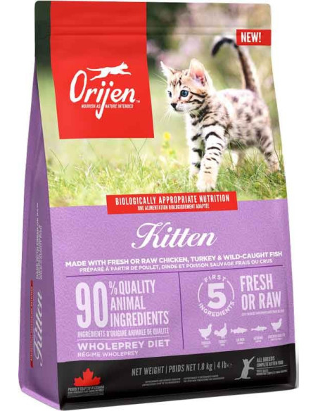 Pienso Orijen Kitten