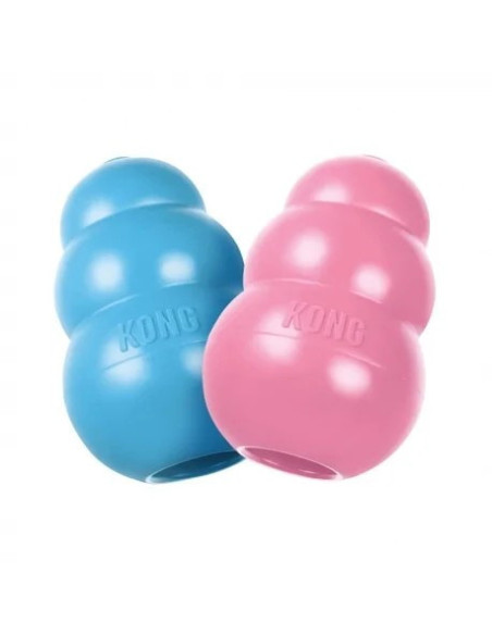 Kong especial cachorros