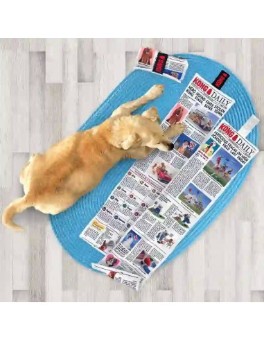 Kong Daily Newspapper XL