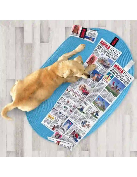 Kong Daily Newspapper XL