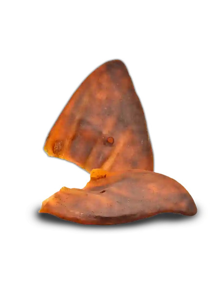 Pack Orejas de cerdo medianas 10 ud