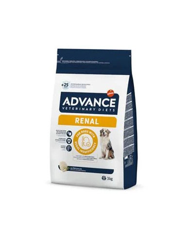 Advance Renal Failure Canine