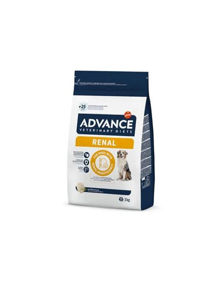 Advance Renal Failure Canine