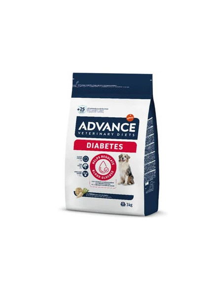 Advance Diabetes Colitis Perro
