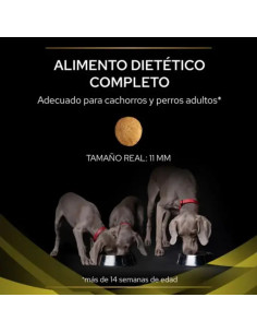 Purina Pro Plan HP Hepatic Veterinary Diets 2