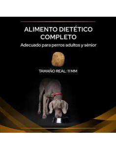 Purina Pro Plan NF Renal Function Veterinary Diets 2