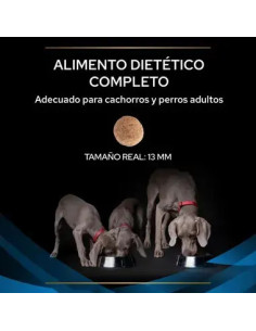 Purina Pro Plan DRM Dermatosis Veterinary Diets 2