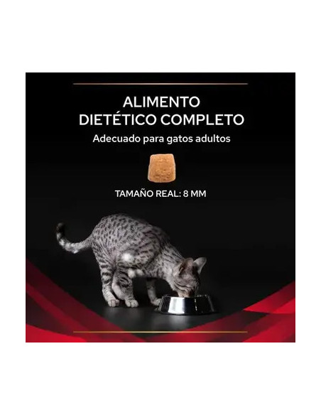 Purina Pro Plan DM Diabetes Management Feline Veterinary Diets