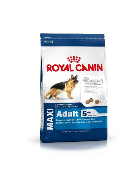 Royal Canin Maxi Adult 5+