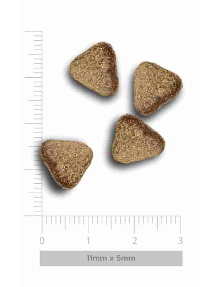 Harper and Bone Adult Mini SIN CEREAL Fresh Market