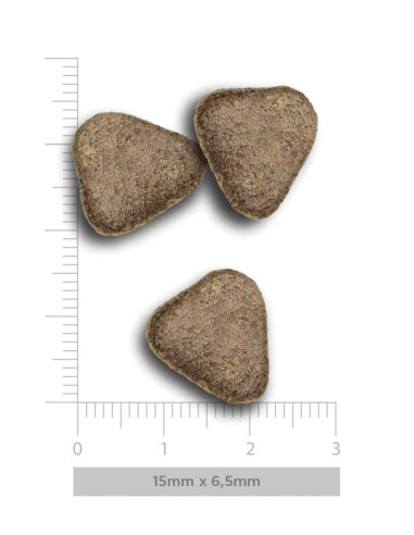 Harper and Bone Adult Medium/Large SIN CEREAL...