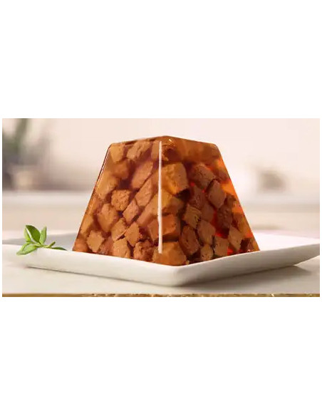 Gourmet Revelation Finos cortes de pollo en gelatina