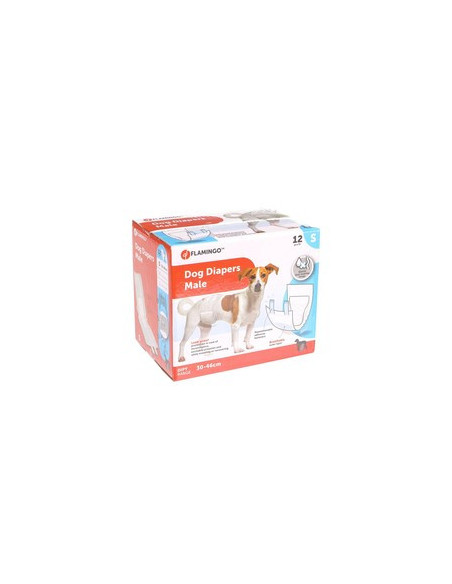Pañal para perro macho 12 unidades