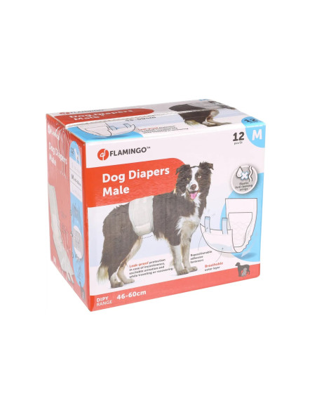Pañal para perro macho 12 unidades