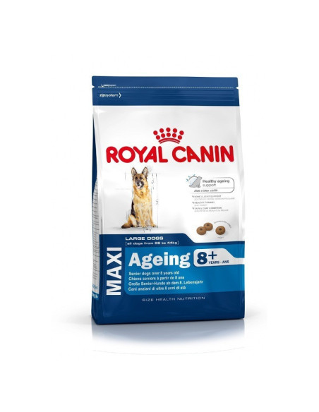 Royal Canin Maxi Adult 8+