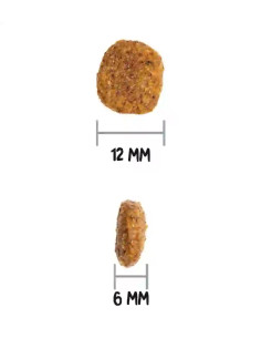 Ownat Ultra Medium Light 2