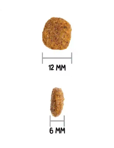 Ownat Ultra Medium Light