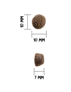 Ownat Prime Adult Oily Fish 2