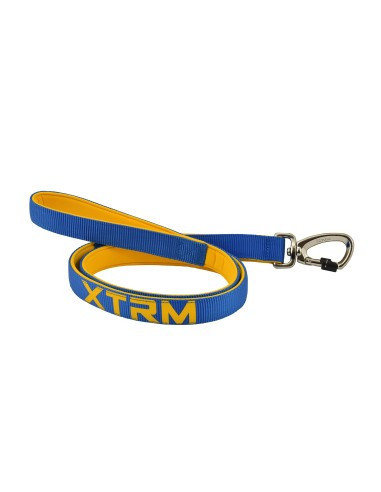 Correa Xtrm Neon Cobalto