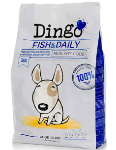 Dingo Fish & Daily