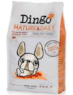 Dingo Mature & Daily
