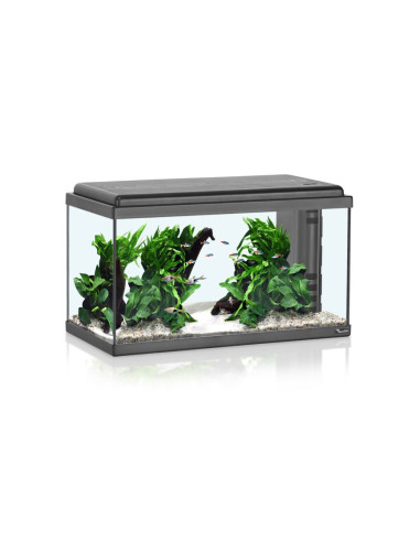 Acuario Advance Led 60  (60L)
