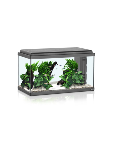Acuario Advance Led 60  (60L)