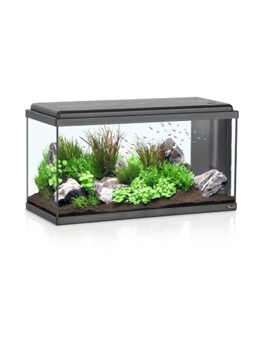 Acuario Advance Led 80  (96L)