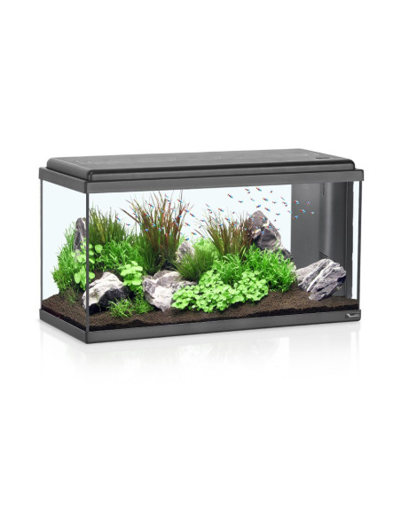 Acuario Advance Led 80  (96L)