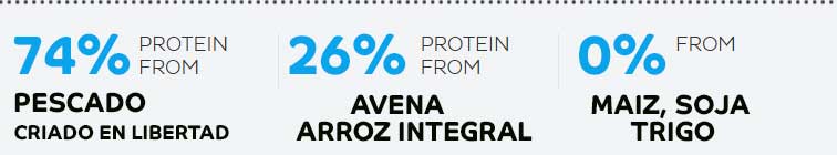 vanypets-firstmate-pacific