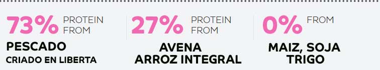 vanypets-pienso-firstmate-senior