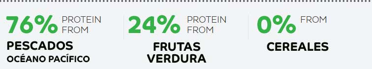 vanypets FirstMate Ocean Fish large