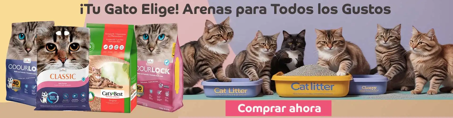 Arenas gato