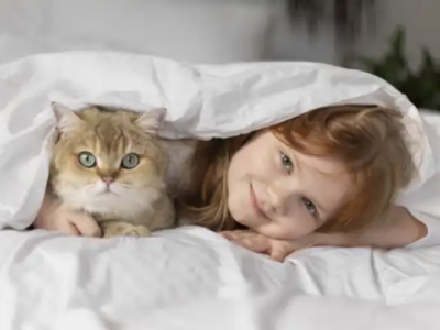 Los Nombres Más Populares para Gatos en España en 2025: Tendencias y Significado